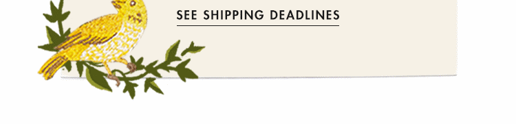 See Shipping Deadlines