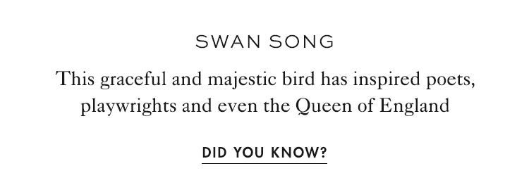 Did you know?