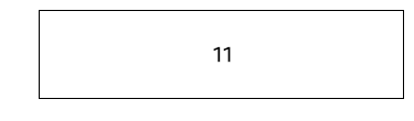 Size 11